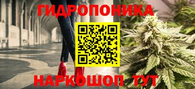 прущие крисы Канаш
