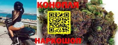 прущие крисы Канаш